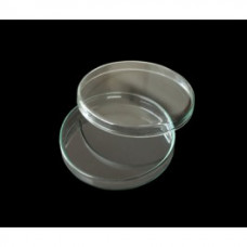 Capsula Petri in vetro borosilicato 80x15 mm